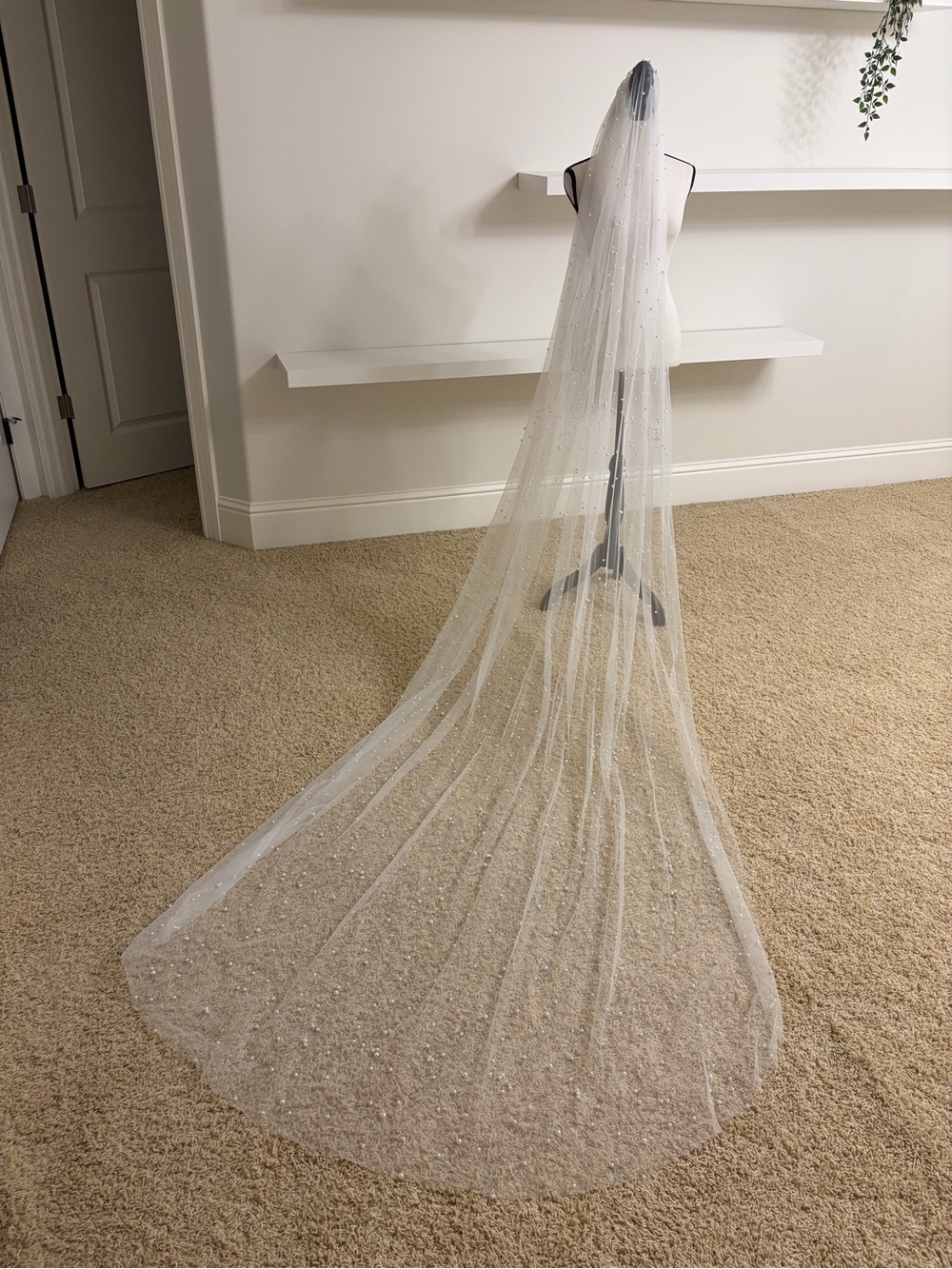 Elegant Sheer Beaded Bridal Veil in White